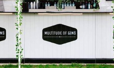Multitude of Gins