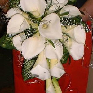 Calla Lily Shower Bouquet