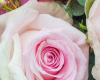 Rose, Lisi & Wax Bouquet