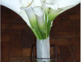 Calla Lily Hand Tied