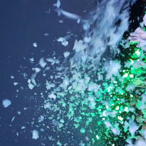 Foam Gig