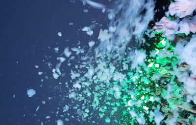 Foam Gig