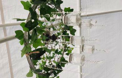 Rustic Chandelier