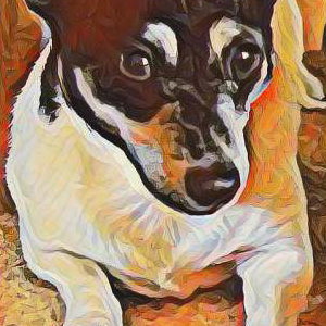 PicsArt_01-06-02.29.40