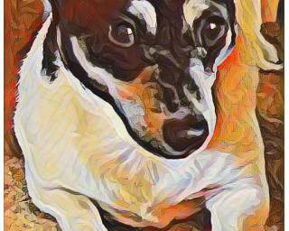 PicsArt_01-06-02.29.40