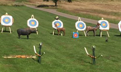 Joe's Bows