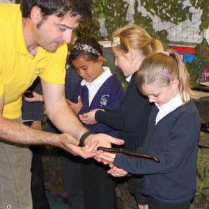 Bugfest school visits
