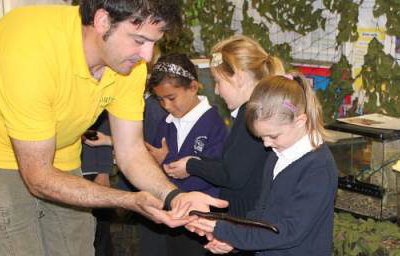 Bugfest school visits