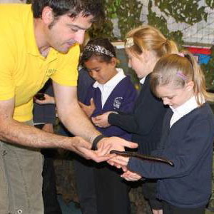 Bugfest school visits