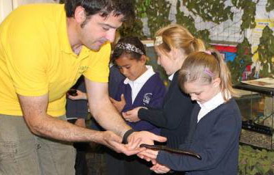 Bugfest school visits