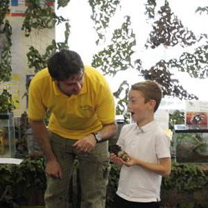 Awesome school visits