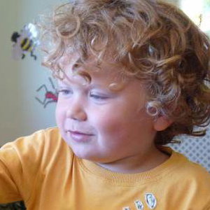 Bugfest pre-school visits