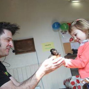 Bugfest five year old's party