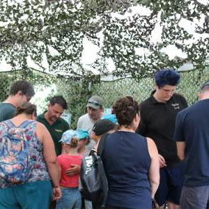 Bugfest generates a lot of interest.