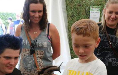 Giant snails