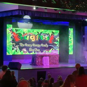 Bugfest at holiday parks 2019