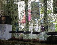 Bugfest Bournemouth Uni display 2019