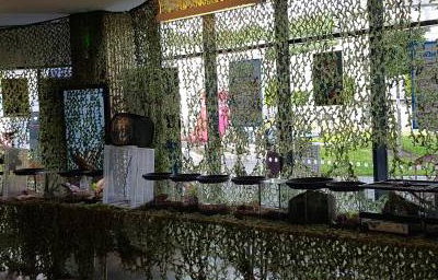 Bugfest Bournemouth Uni display 2019