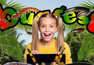 Bugfest