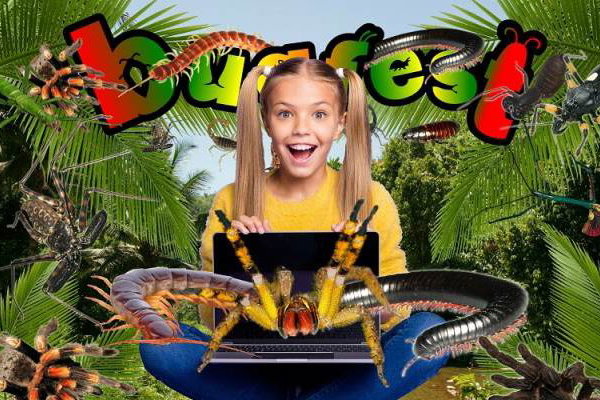 Bugfest