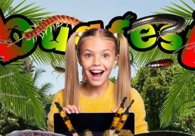 Bugfest