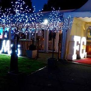 Our Blossom Trees and letter's