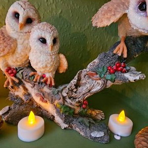 The Enchanted Wellbeing Room 
