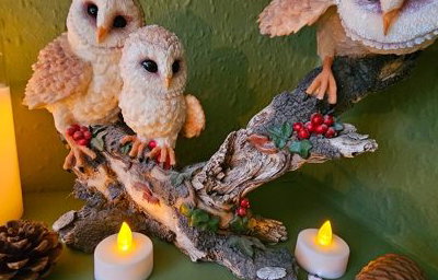 The Enchanted Wellbeing Room