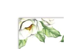 Florista Events logo