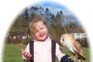 Carmarthenshire Falconry