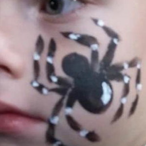 FF Spider