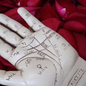 Palmist taken by spiritualevents.co.uk 2020 all copyright is our ownership 2026 onwards