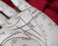 Palmist taken by spiritualevents.co.uk 2020 all copyright is our ownership 2026 onwards