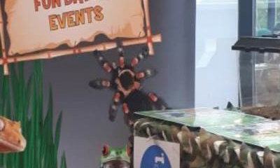 Bug Biz Exotic Animal Encounters