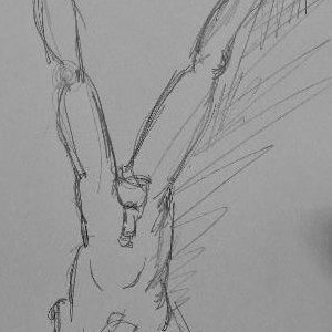 headstand