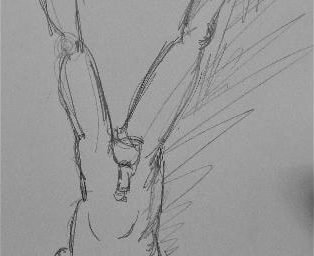 headstand
