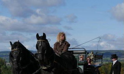 Film Horses and Carriages