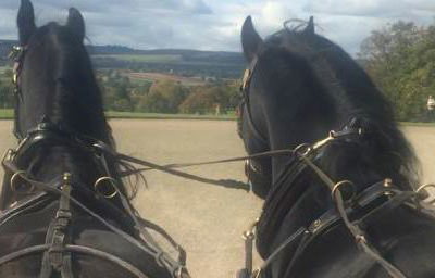 Production - Pair of Black Friesian Film Horses Carriage Driving at National Trust Berrington Hall from Marc Lovatt and The Cavalry of Heroes Film Horses and Carriages
