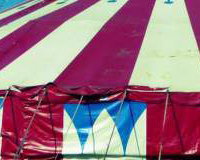 36 mtr