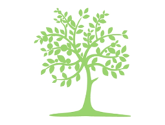 The Lime Tree Bar logo