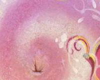 Baby Bump Painting