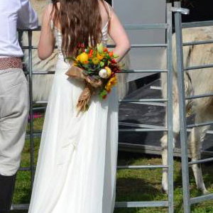 llamas wedding2
