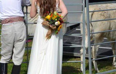 llamas wedding2