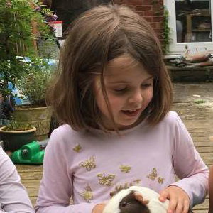 Feeding Apple and Crumble the Guinea Pigs