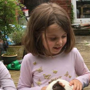 Feeding Apple and Crumble the Guinea Pigs