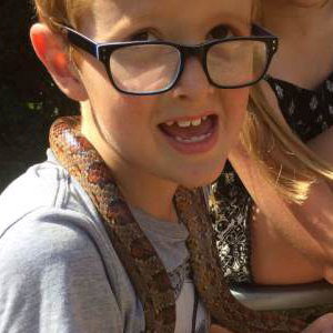 Meeting Cornelia the Corn Snake