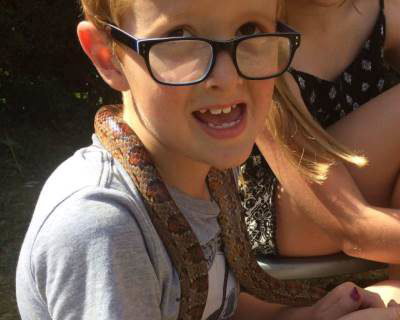 Meeting Cornelia the Corn Snake