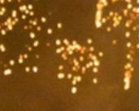 Wedding Fireworks