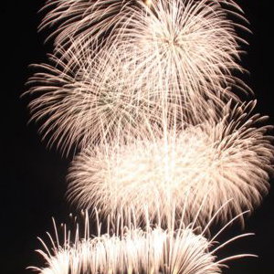 Festival Fireworks
