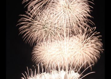 Festival Fireworks